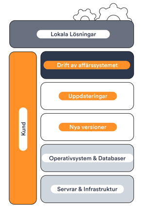 03.-Local-Solutions-1