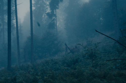 3 forest background