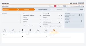 Custom Field Example 3