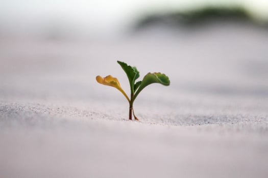 jeremy-bishop-74123-unsplash-700x467