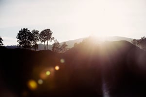 natur_career_rambase