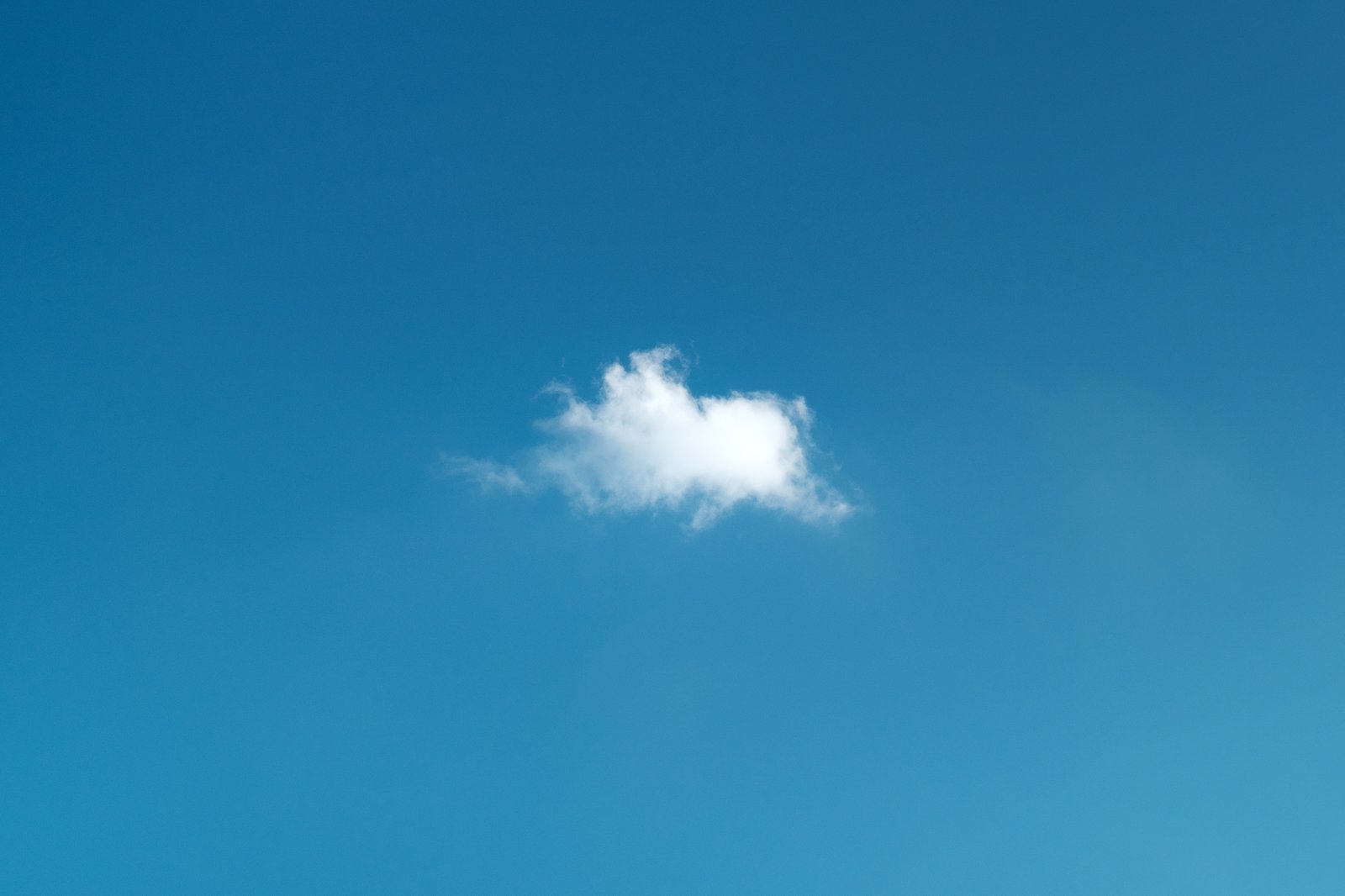 Top 5 reason why your business needs cloud ERP