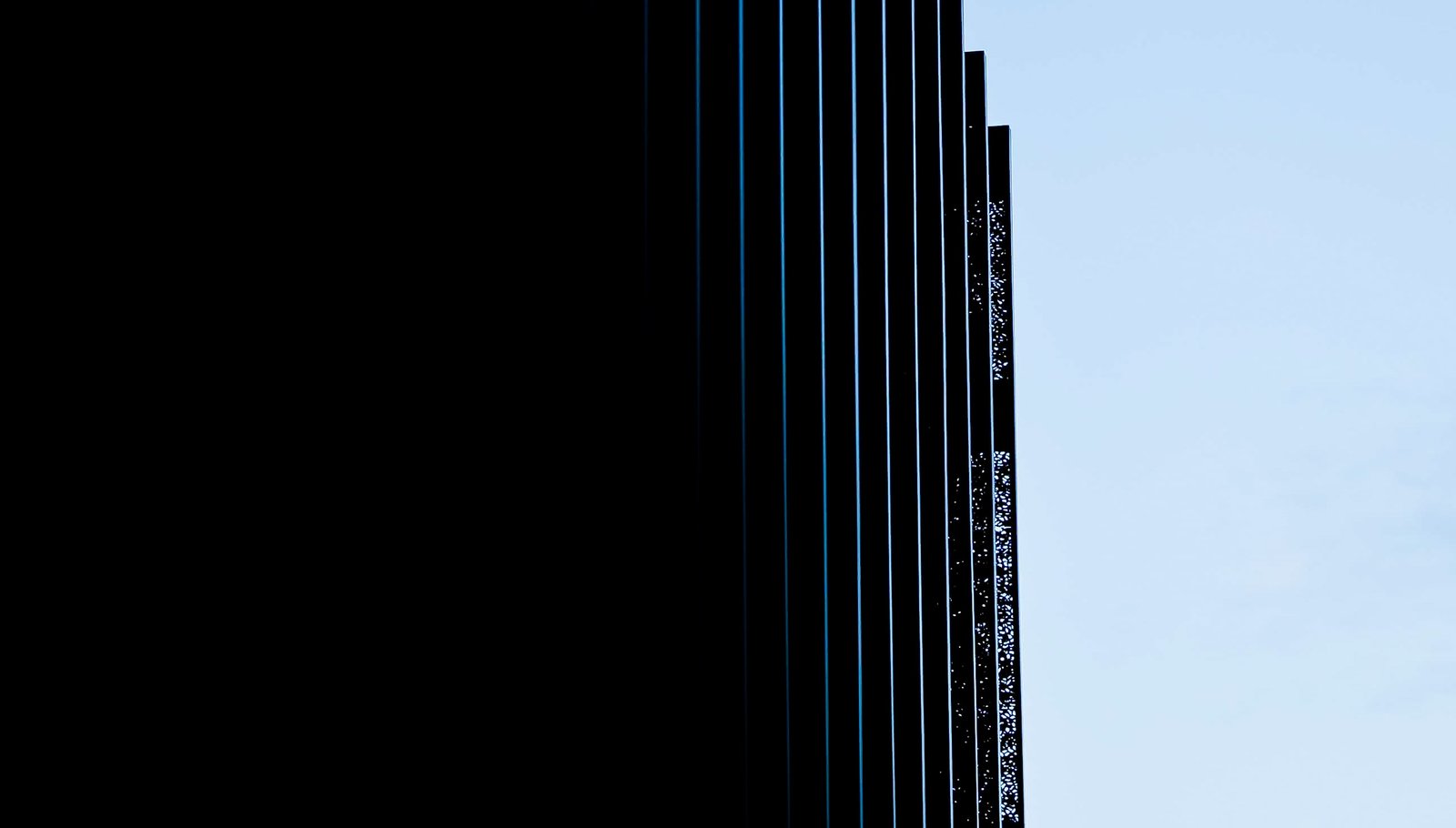 wall 