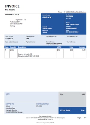 Invoice-Example