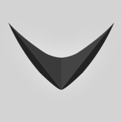 RAYVN-300x300