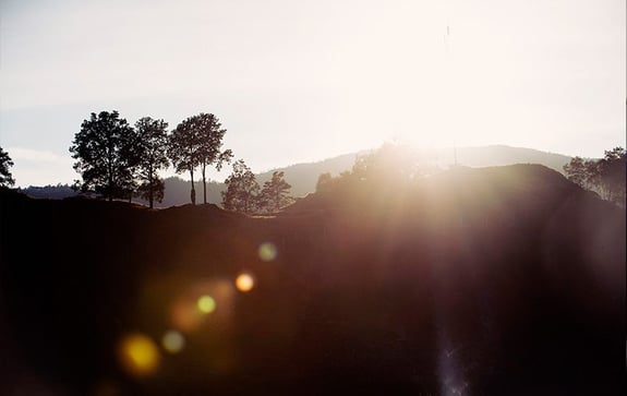 rambase_natur-800x506