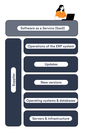 Software-as-a-service-min